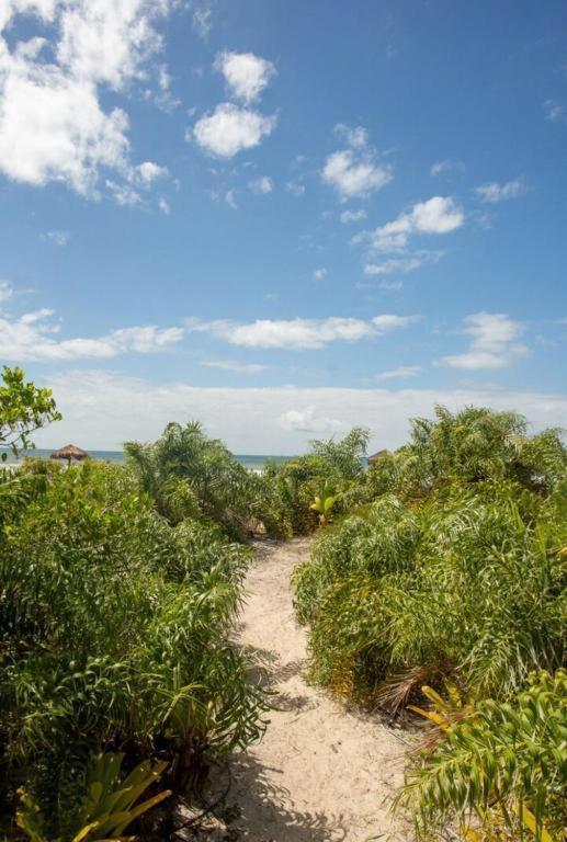 Cond Praia Da Perola - Apt Rosa 7 Ilhéus المظهر الخارجي الصورة